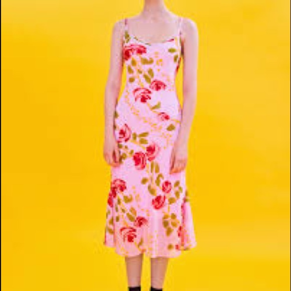 Betsy Johnson x urban outfitters floral dress